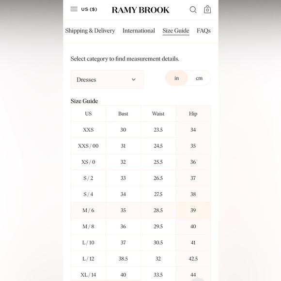 Ramy Brook Dany VNeck Sleeveless Embroidered Mini Dress Smocked Drop Waist Large - Picture 11 of 11